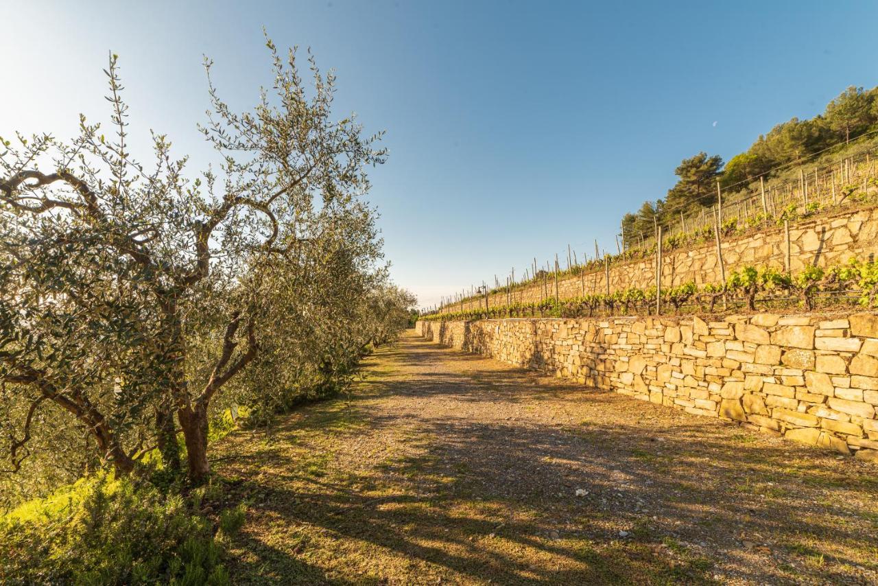 Casetta Marì immersa in un vigneto Dolceacqua Esterno foto